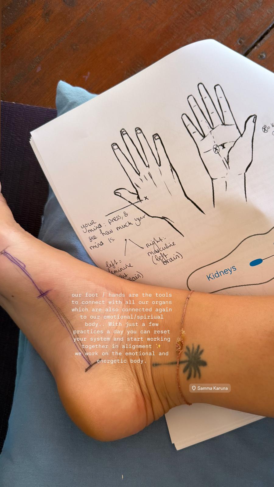 Reflexology study — foot & hand mapping